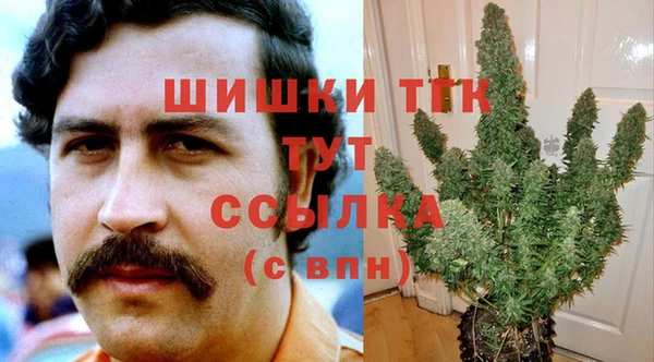 прущие грибы Богородицк