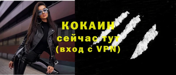 прущие грибы Богородицк