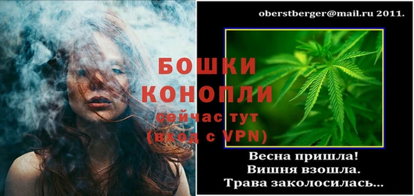 прущие грибы Богородицк