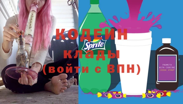 прущие грибы Богородицк