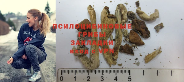 прущие грибы Богородицк