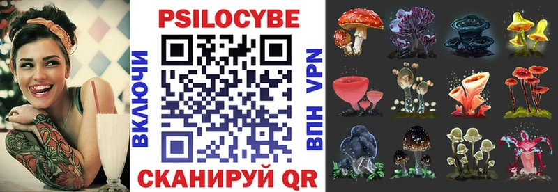Псилоцибиновые грибы Cubensis  hydra ссылка  Кинешма  купить  сайты 