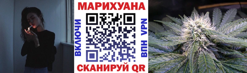 Бошки марихуана SATIVA & INDICA  купить наркоту  Кинешма 